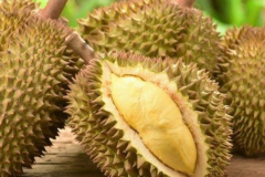 saurieng
